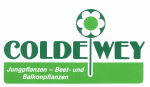 Gartenbau Niedersachsen: COLDEWEY